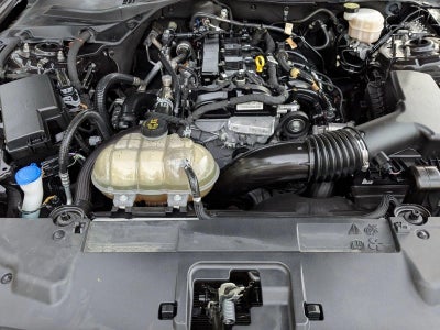 2023 Ford Mustang EcoBoost