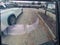 2021 RAM 1500 Rebel 4x4 Crew Cab 5'7" Box