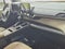2023 Toyota Sienna XLE FWD 8-Passenger (Natl)