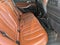 2022 BMW X5 sDrive40i Sports Activity Vehicle