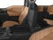 2017 Ford F-150 Limited 4WD SuperCrew 5.5' Box