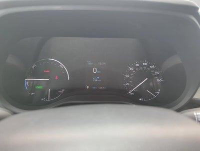 2022 Toyota Sienna XLE FWD 8-Passenger (Natl)