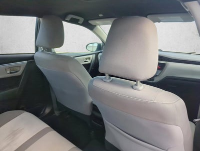 2019 Toyota Corolla LE CVT (Natl)