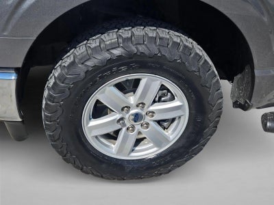 2023 Ford F-150 XLT 4WD SuperCrew 5.5' Box
