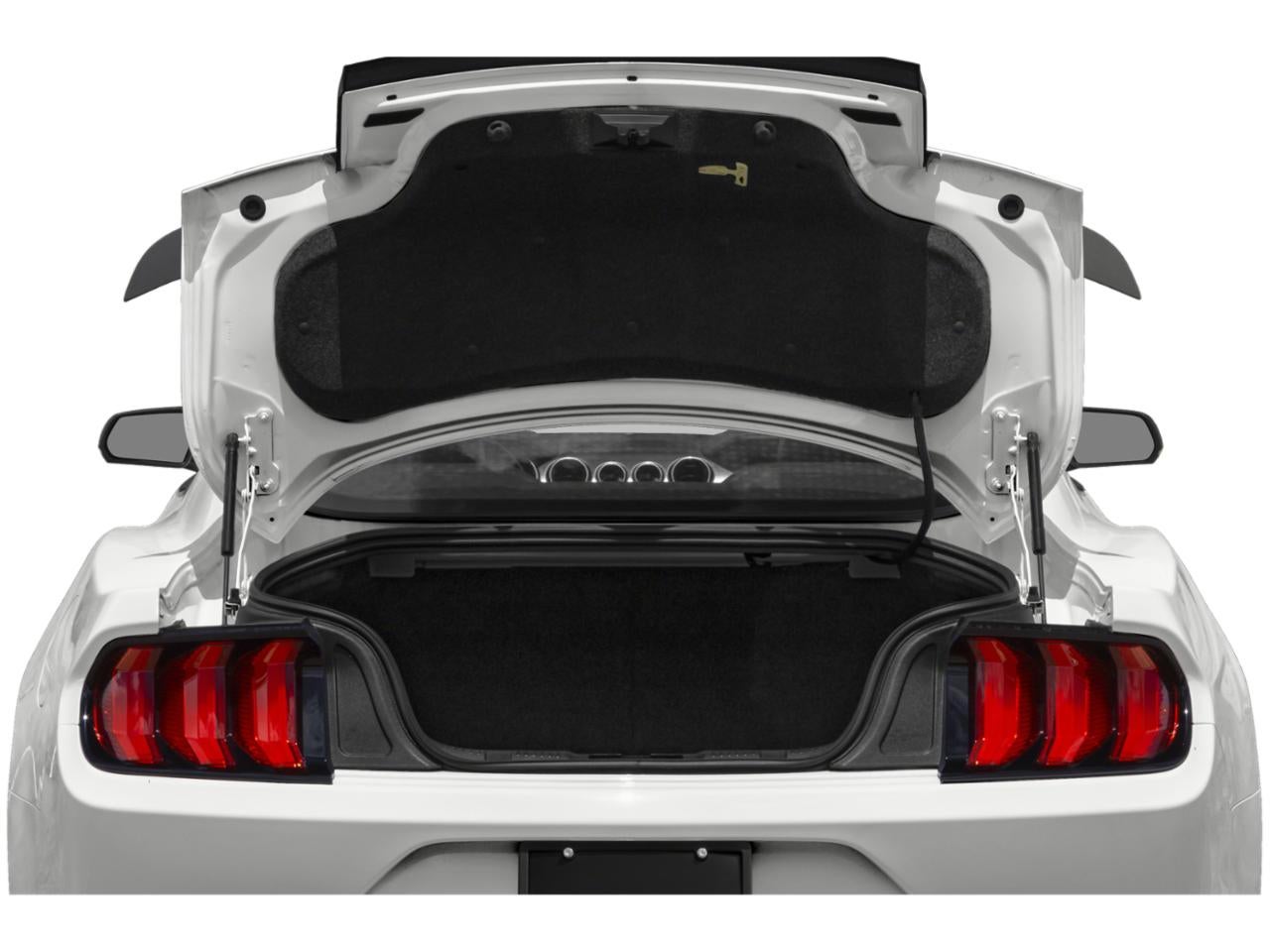 2023 Ford Mustang Mach 1 Fastback