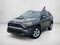 2019 Toyota RAV4 XLE FWD (GS)