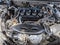 2023 Honda Accord Sedan EX CVT w/o BSI