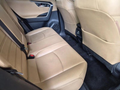 2019 Toyota RAV4 Limited FWD (Natl)