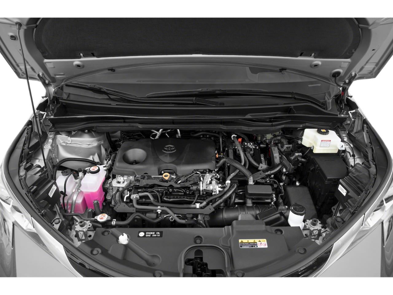 2021 Toyota Sienna Platinum FWD 7-Passenger (Natl)
