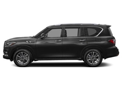 2023 INFINITI QX80 LUXE RWD