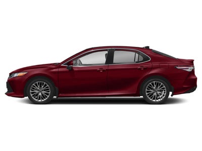 2020 Toyota Camry XLE V6 Auto (Natl)