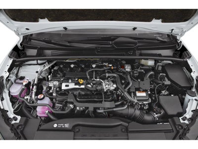 2025 Toyota Prius XLE (Natl)