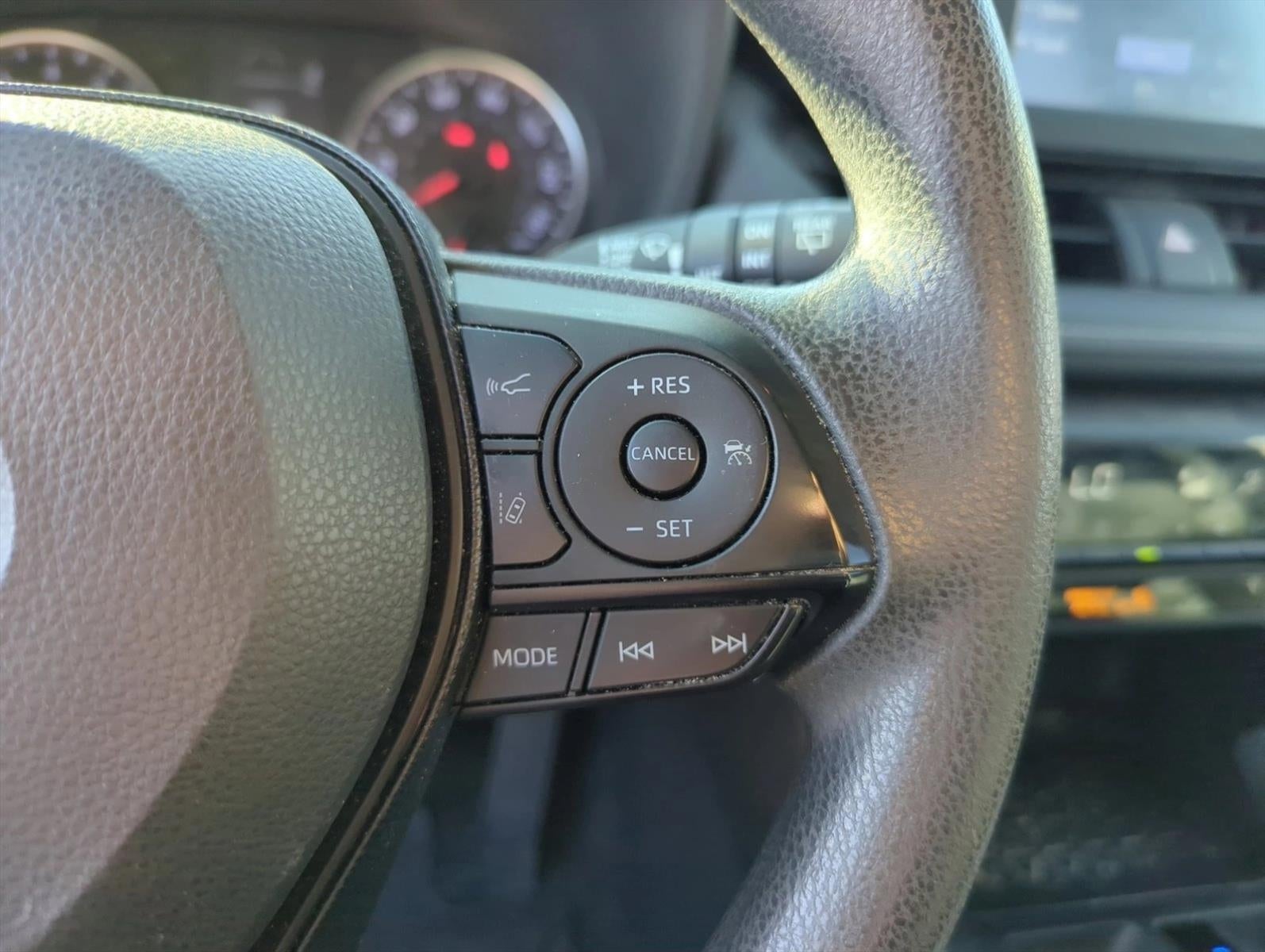 2019 Toyota RAV4 XLE AWD (Natl)