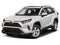 2019 Toyota RAV4 XLE AWD (Natl)