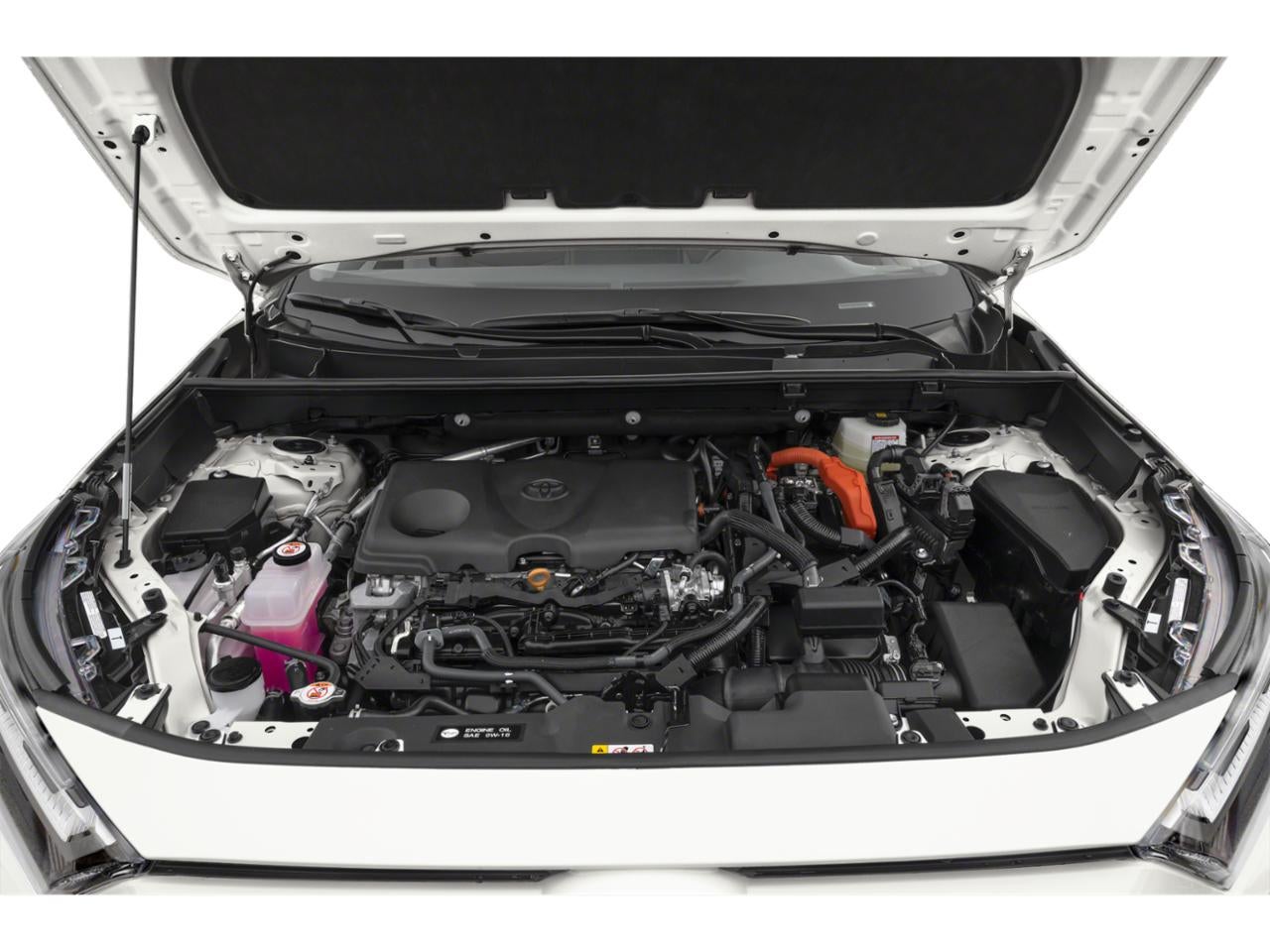 2024 Toyota RAV4 Hybrid SE AWD (Natl)