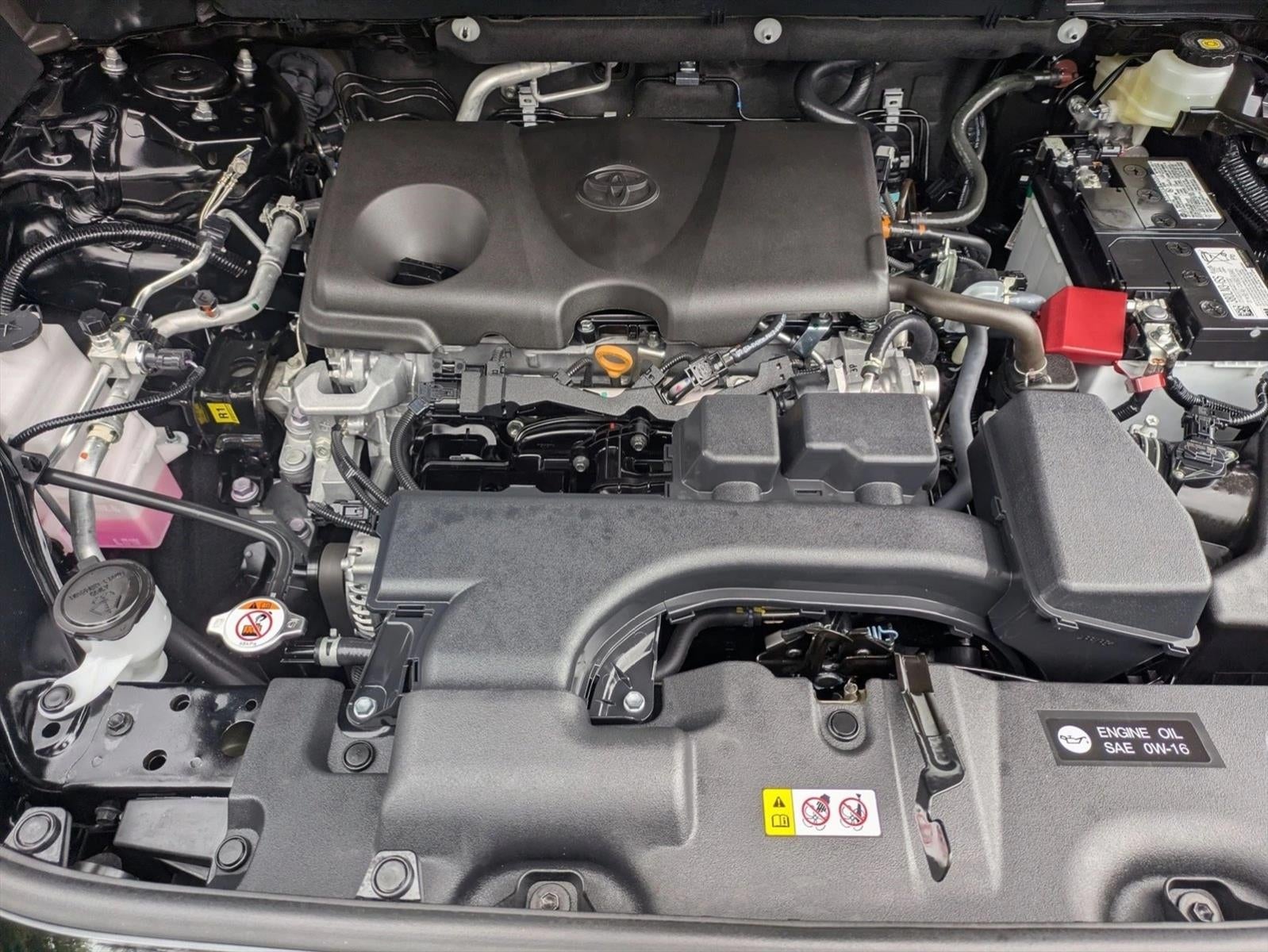 2025 Toyota RAV4 LE AWD (Natl)