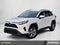 2025 Toyota RAV4 XLE FWD (Natl)