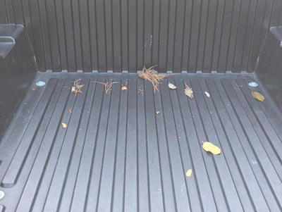 2022 Toyota Tacoma 2WD 2WD SR5 Double Cab 5' Bed V6 AT (GS)