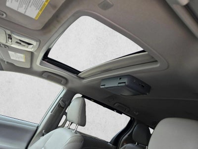 2019 Toyota Sienna XLE FWD 8-Passenger (Natl)
