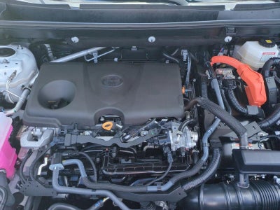 2025 Toyota RAV4 Hybrid XLE AWD (Natl)