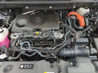 2025 Toyota RAV4 Hybrid XLE AWD (Natl)