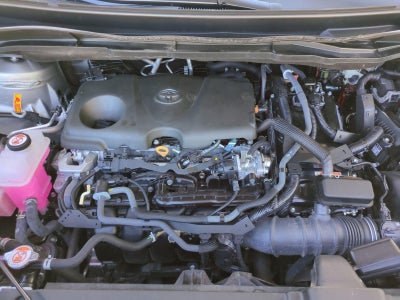 2025 Toyota Sienna XLE FWD 8-Passenger (Natl)