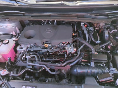 2022 Toyota Sienna XLE FWD 8-Passenger (Natl)