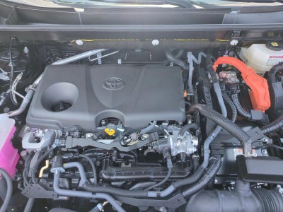 2025 Toyota RAV4 Hybrid XLE AWD (Natl)