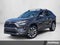 2024 Toyota RAV4 XLE Premium FWD (Natl)