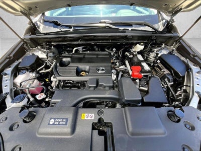 2024 Lexus NX 250 FWD