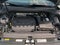 2020 Volkswagen Tiguan 2.0T SE FWD