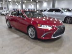 2019 Lexus ES 300h Luxury FWD