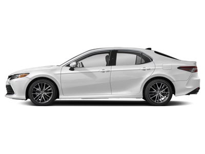 2023 Toyota Camry XLE Auto (Natl)