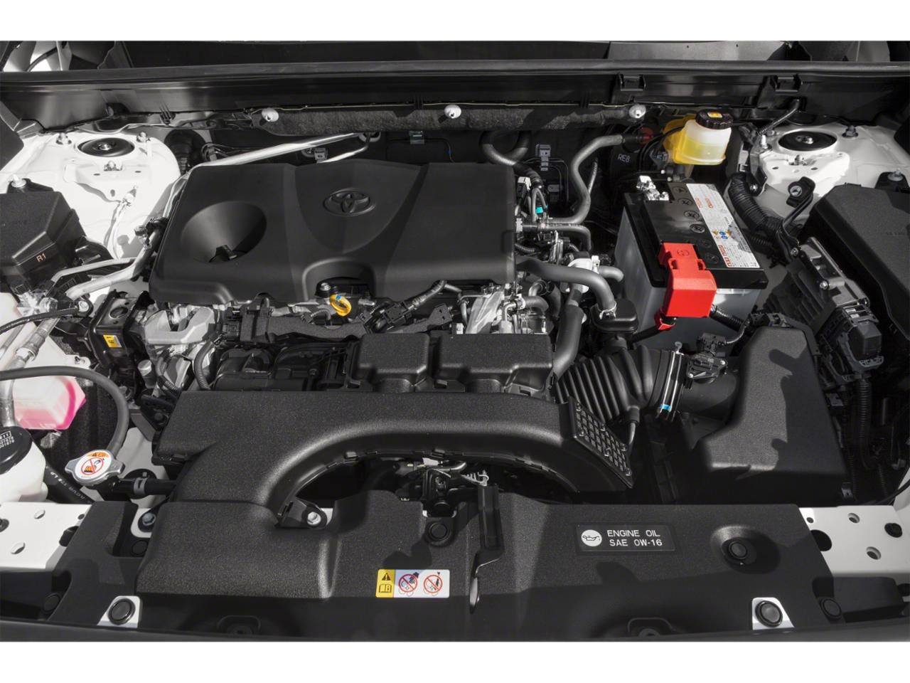2019 Toyota RAV4 XLE FWD (GS)